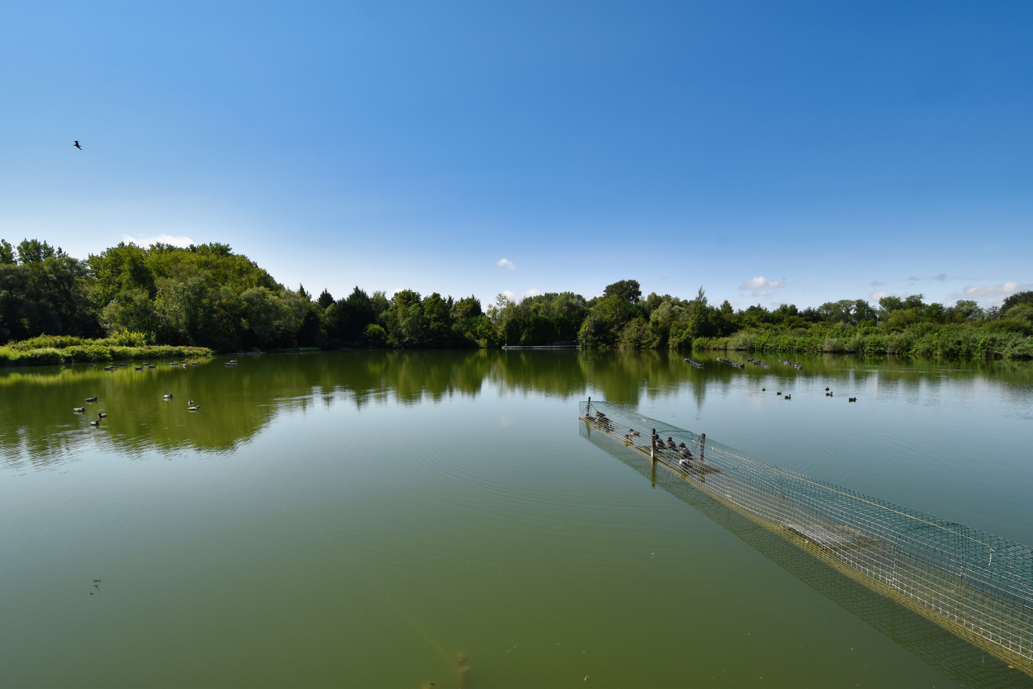 Immo80 – L'immobilier à Amiens et dans la Somme-AMIENS