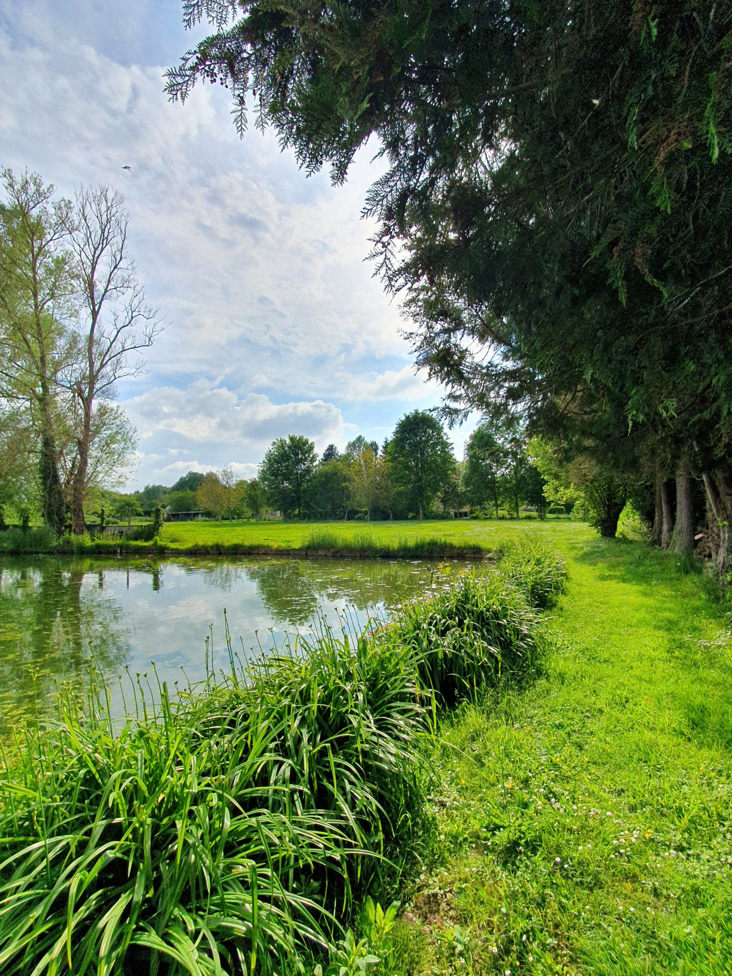 Immo80 – L'immobilier à Amiens et dans la Somme-AIRAINES