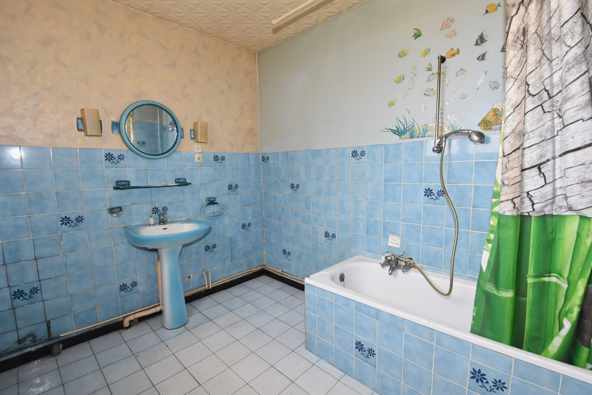 Immo80 – L'immobilier à Amiens et dans la Somme-SECTEUR VIGNACOURT, maison avec entrée cochère sur 1200m2 de terrain