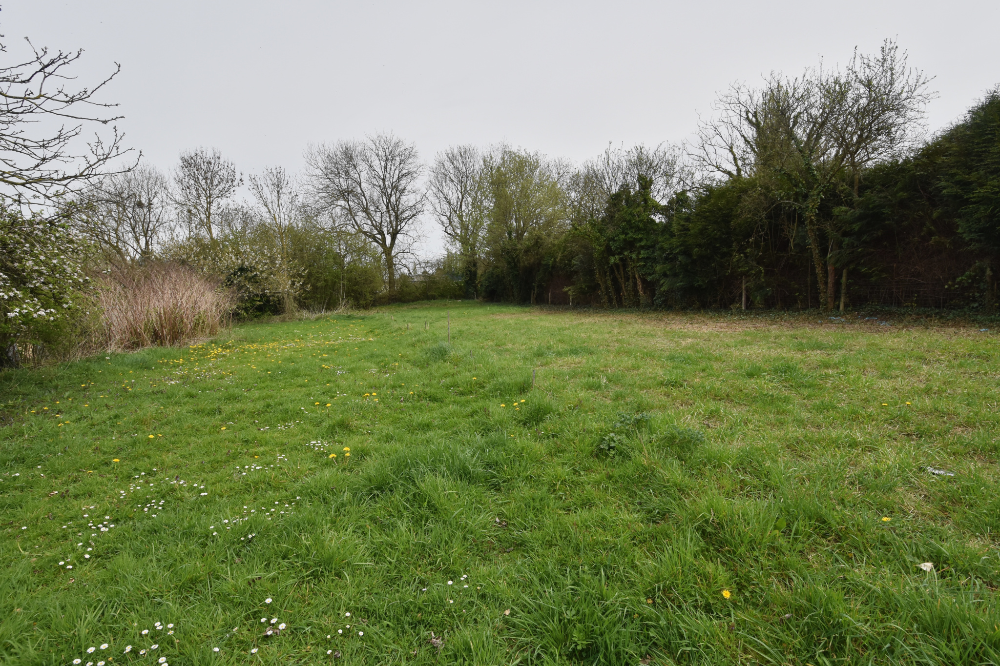 Immo80 – L'immobilier à Amiens et dans la Somme-SECTEUR VIGNACOURT, maison avec entrée cochère sur 1200m2 de terrain