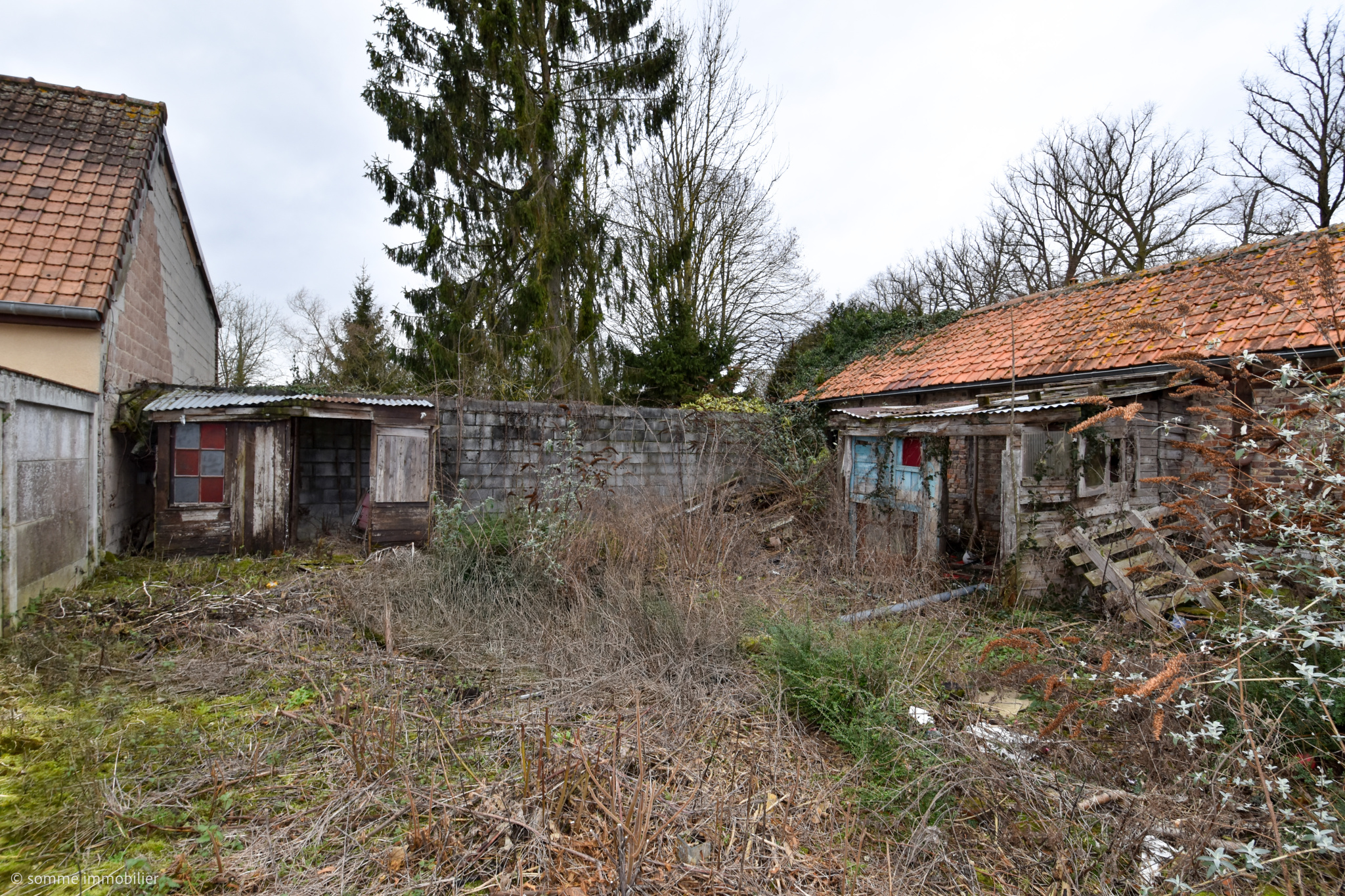 Immo80 – L'immobilier à Amiens et dans la Somme-BERTANGLES