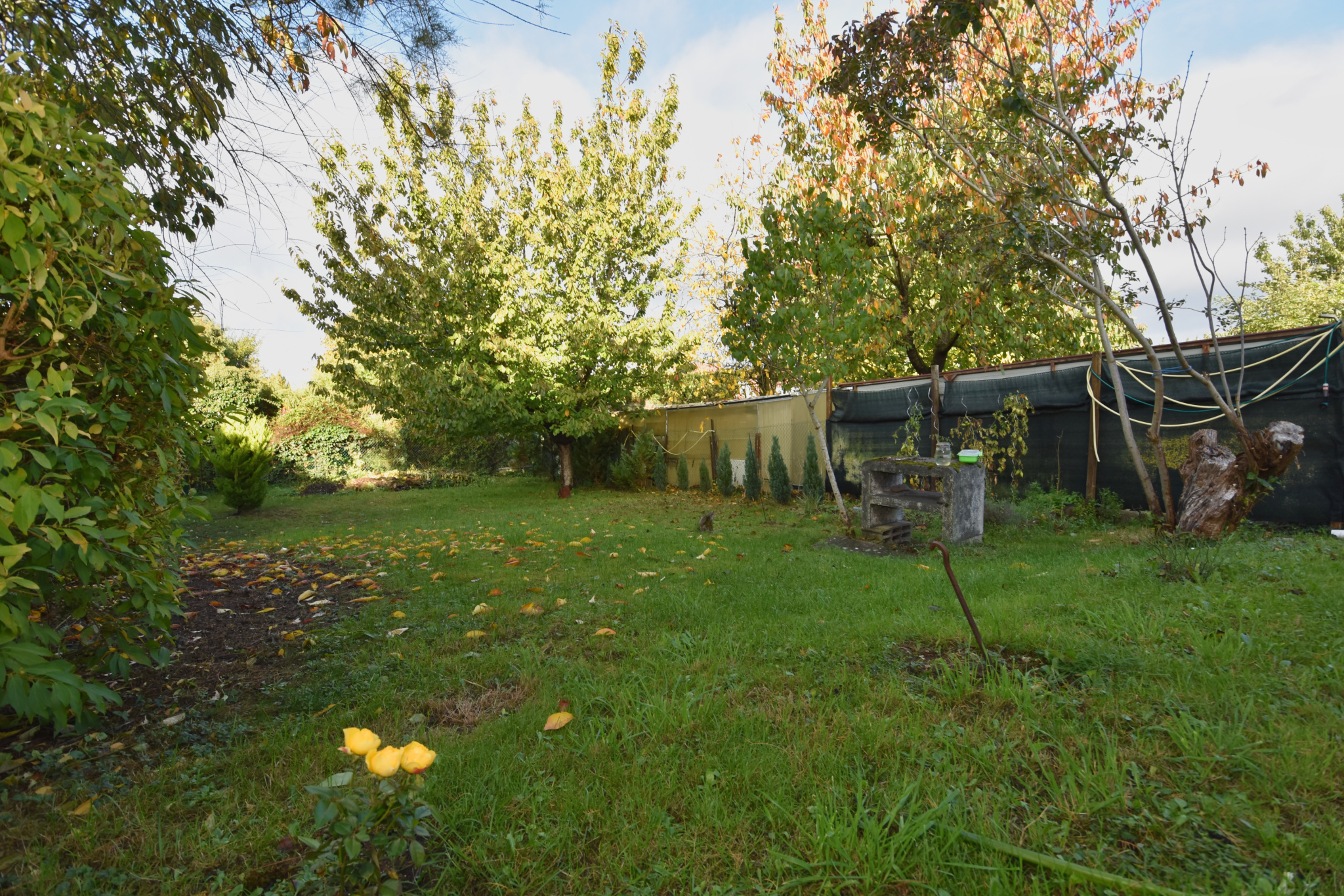 Immo80 – L'immobilier à Amiens et dans la Somme-EXCLUSIF AILLY-SUR-SOMME :